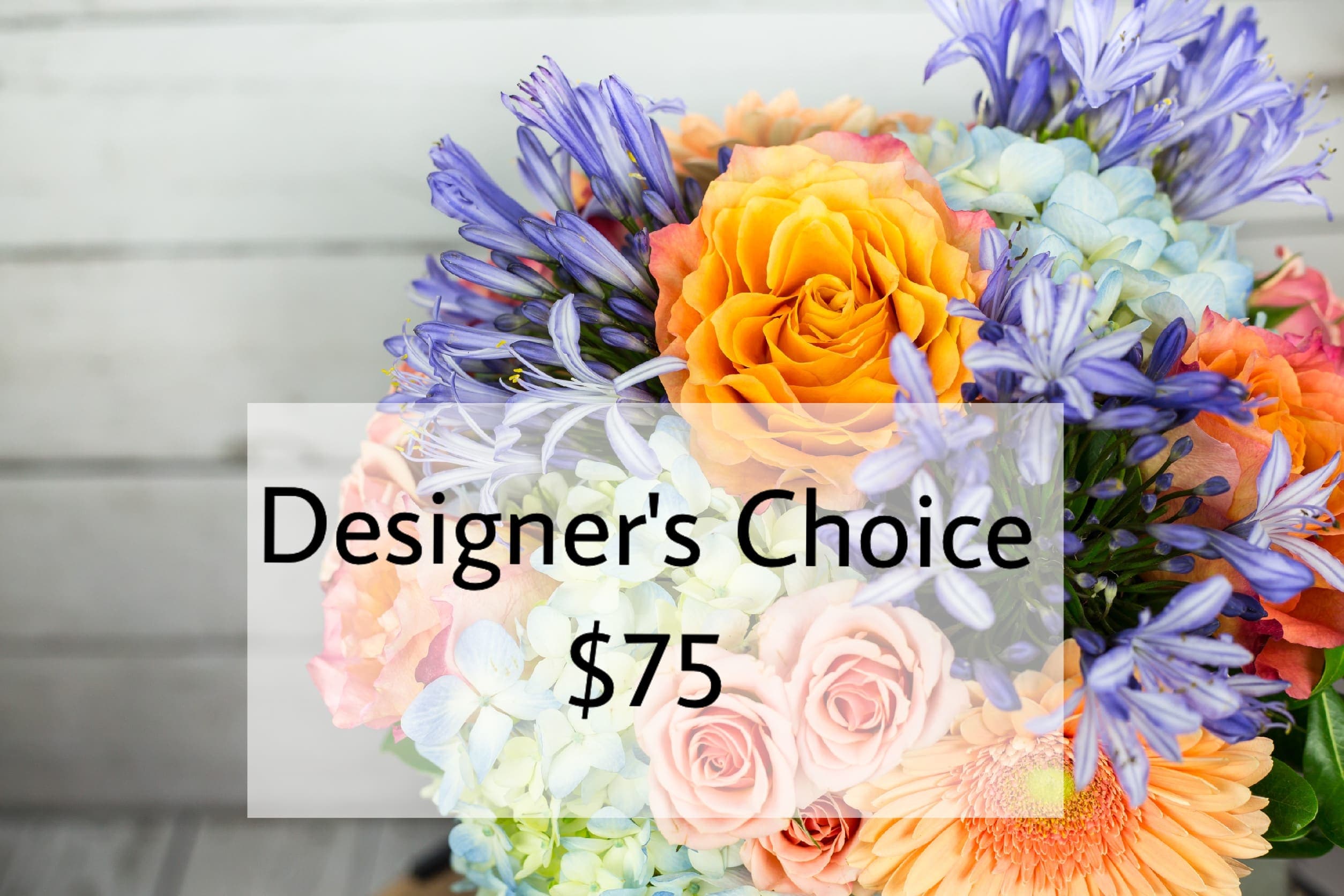 Designer's Choice $75