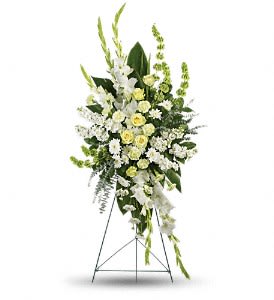 Magnificent Life Spray