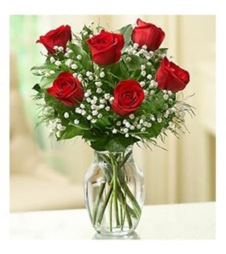 Rose Elegance™ Premium Red Roses - 1/2 Dozen Flower Bouquet