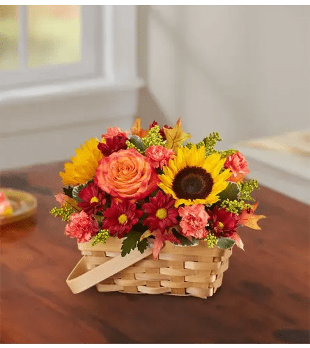 Fields of Europe™ for Fall Basket