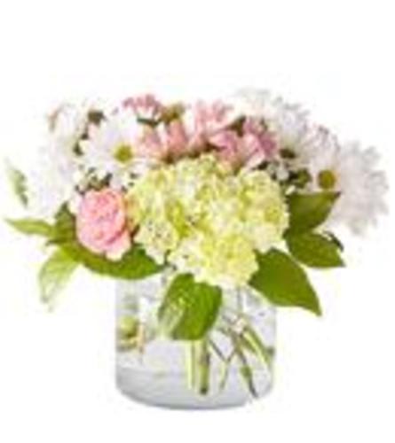 FLUTTER BY DIBIASO'S