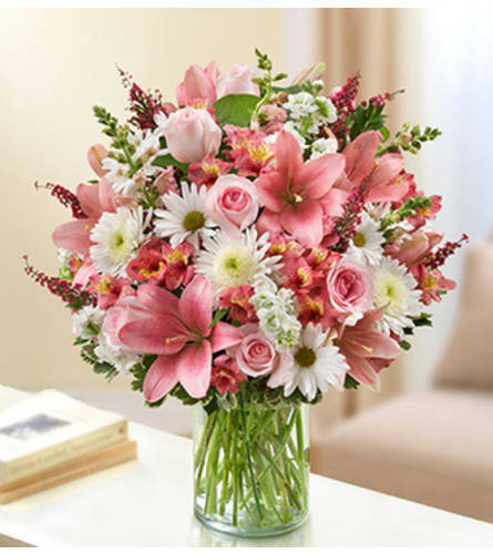 Sincerest Sorrow - Pink and White