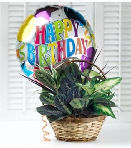 Birthday Dish Garden Flower Bouquet