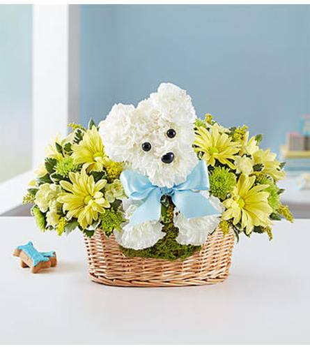 It’s a-DOG-able® Baby Boy