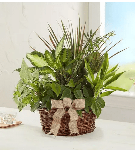 Classic Dish Garden Flower Bouquet