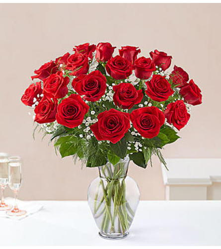 Ultimate Elegance™ 2 DOZEN Long Stem Red Roses Flower Bouquet