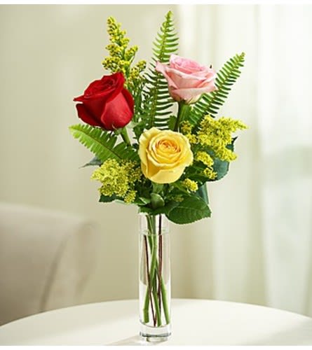 Love’s Embrace™ Roses - Assorted