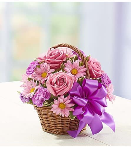 Get Well Flower FREE Delivery Wilmington DE - DiBiaso's Florist