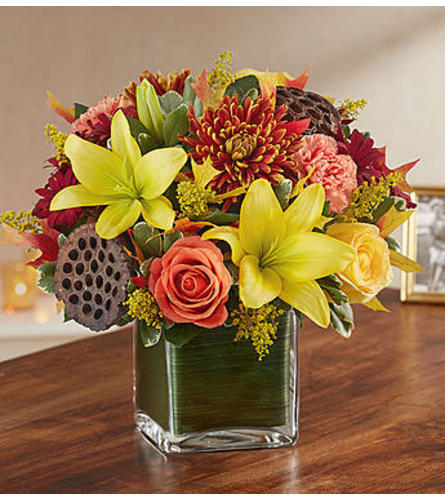 Healing Tears™ Fall