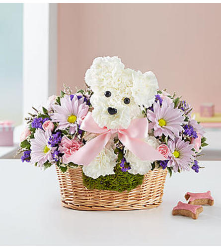 It’s a-DOG-able® Baby Girl