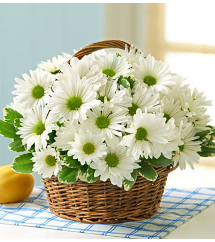 White Daisy Basket Flower Bouquet