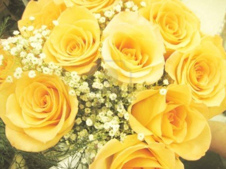12 Yellow Roses Wrapped