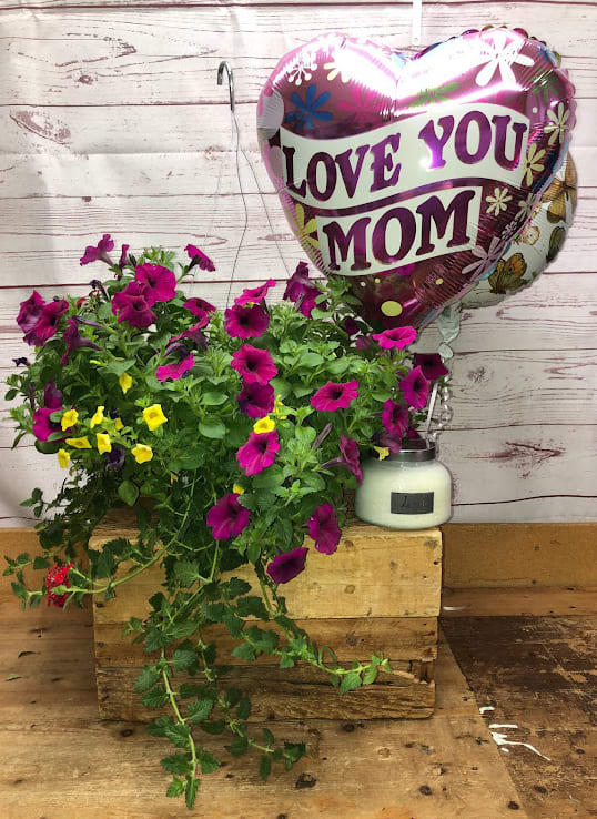 Home & Garden Gift Set