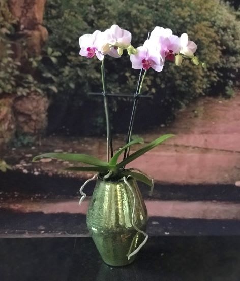 Vapor Vase with Double White Mini Orchids Flower Bouquet