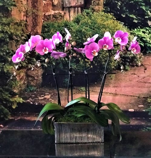 Large Double Lavender - Silver Ceramic  Box  24" x 28"