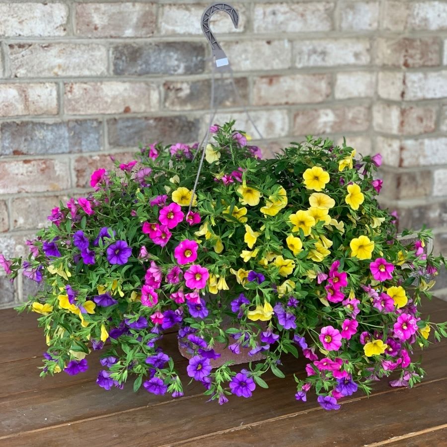 Best Florist Mechanicsburg, PA Flower Delivery in Mechanicsburg, PA