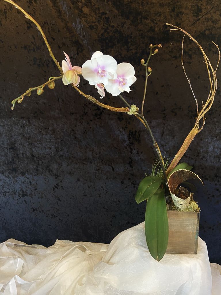 Kingston Florist Flower Delivery Kingston by Petalos Floral Shop