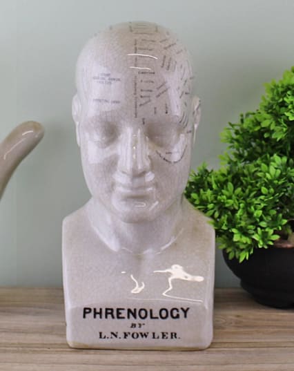 Ceramic Phrenology Head