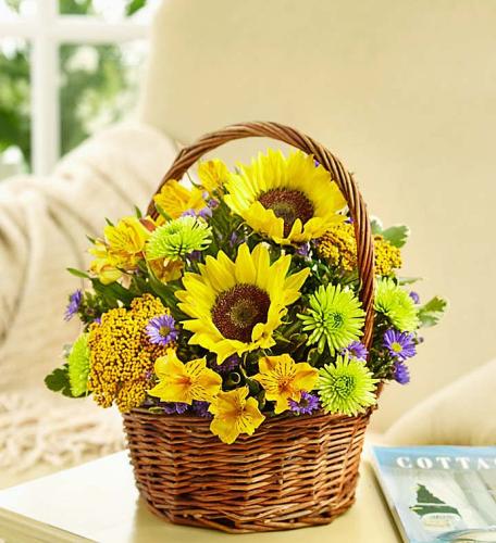 Fields of Europe for Summer Basket