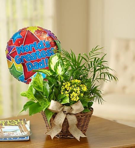 European Dish Garden for Dad Flower Bouquet