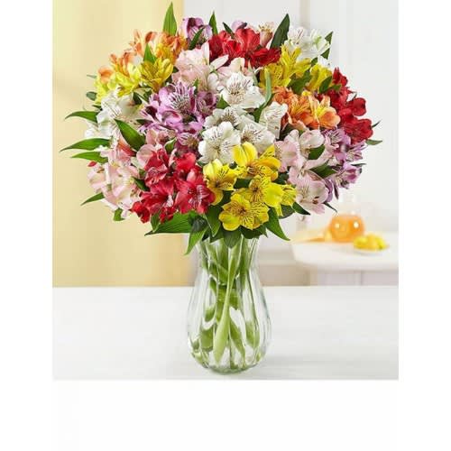 50 Blooms of Alstroemeria