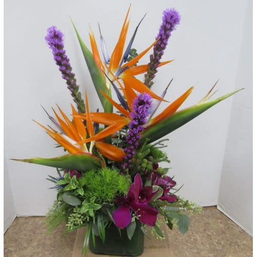 Oma's Garden | Coral Springs Florist