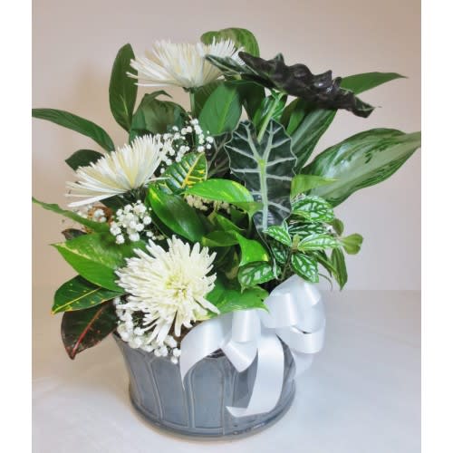 Thinking of You Dish Garden