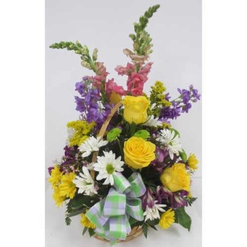 Bright Colored Basket