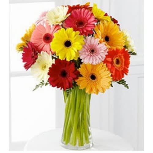 18 Mixed Gerbera Daisies