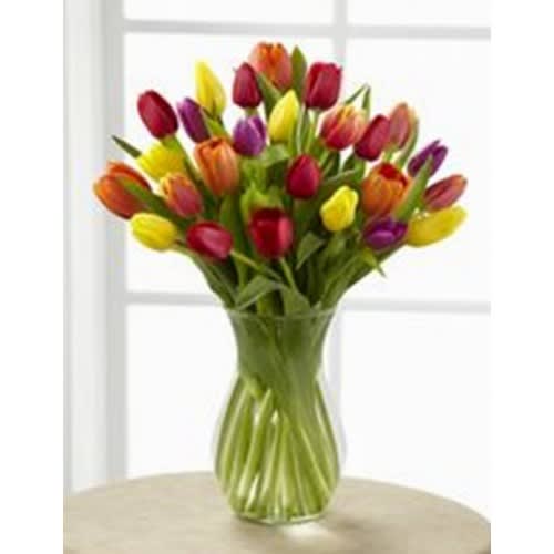 30 Mixed Tulips