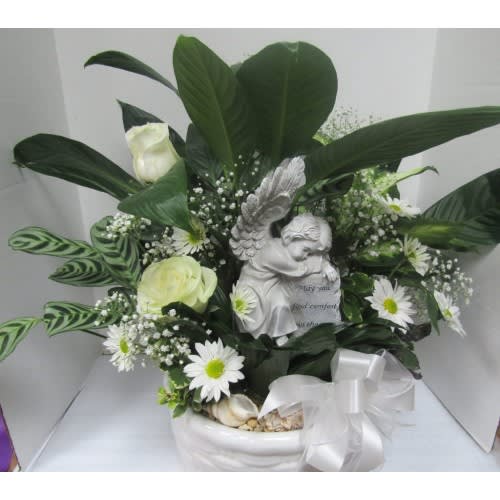 Arms of an Angel Dish Garden