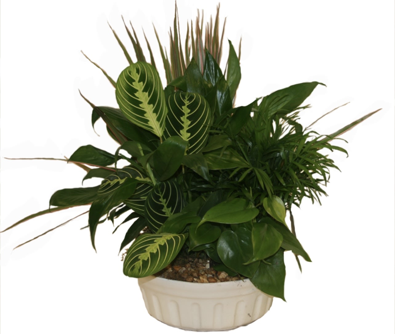 8” Dish Garden Flower Bouquet