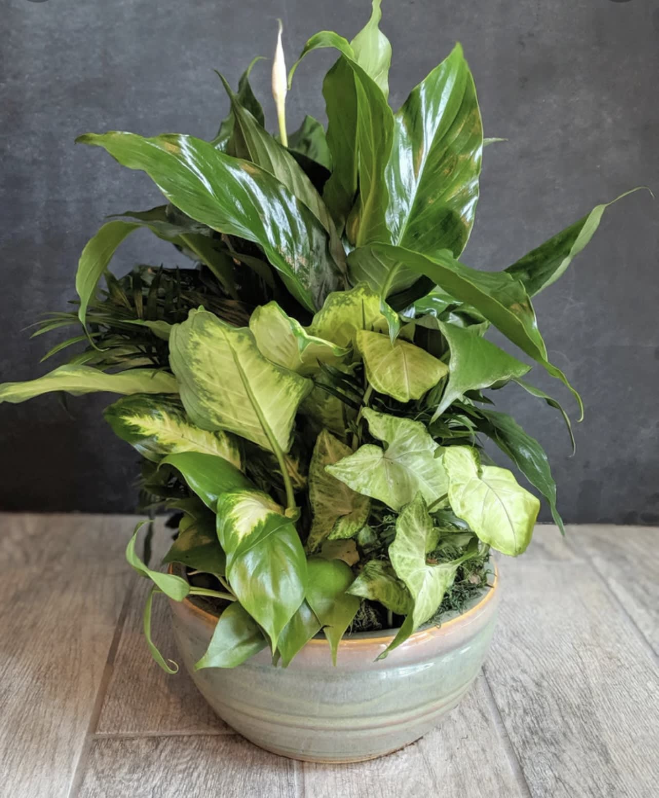 10” Dish Garden Flower Bouquet