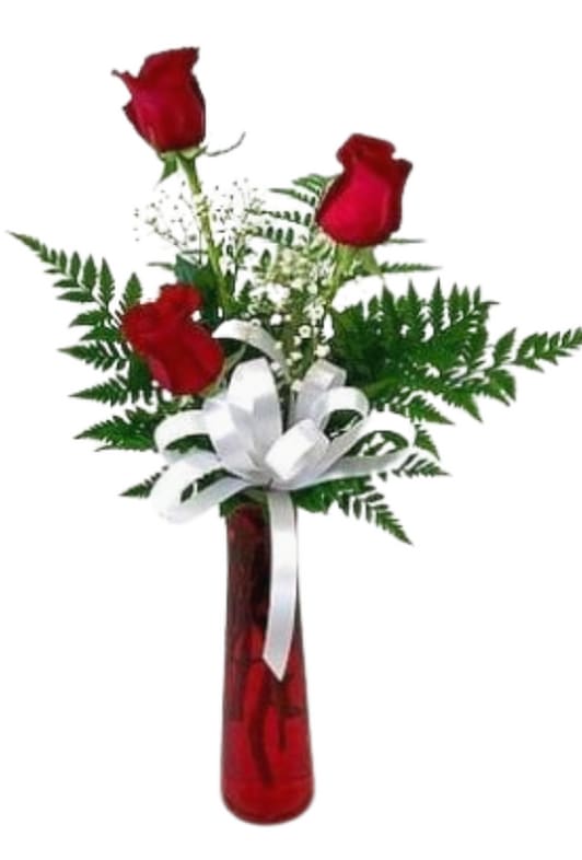 Roses Flower Delivery Tempe AZ Fiesta Flowers, Plants & Gifts