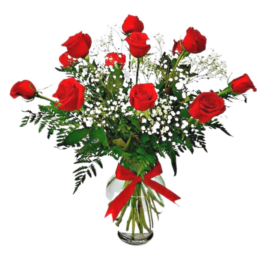12 Classic Long Stem Roses w/ Baby’s Breath R-1778 Flower Bouquet