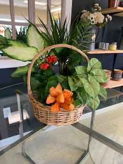 Euro Gardens Small, Medium & Large