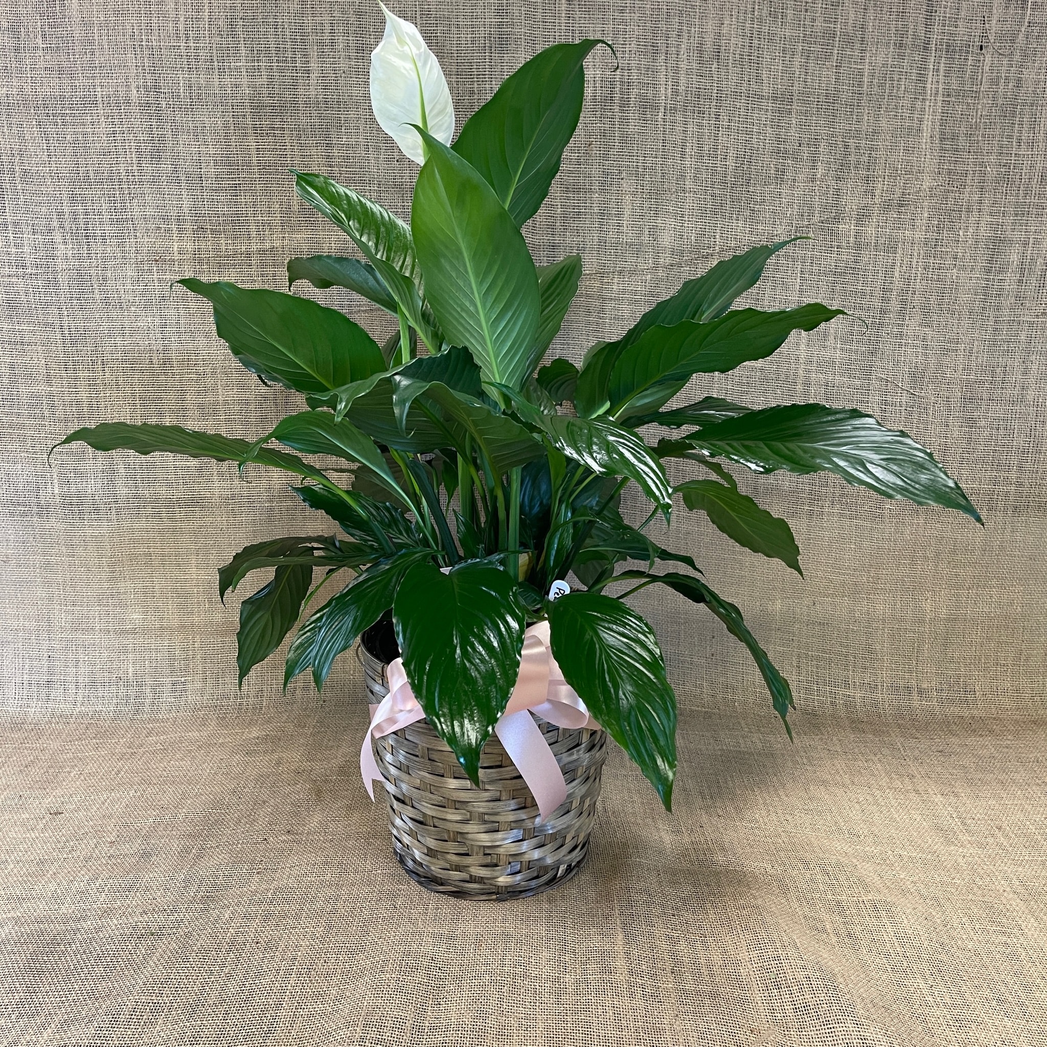 Peace Lily Flower Bouquet