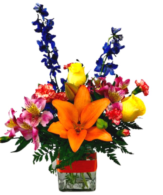 Tempe AZ Flower Shop Fiesta Flowers Plants & Gifts