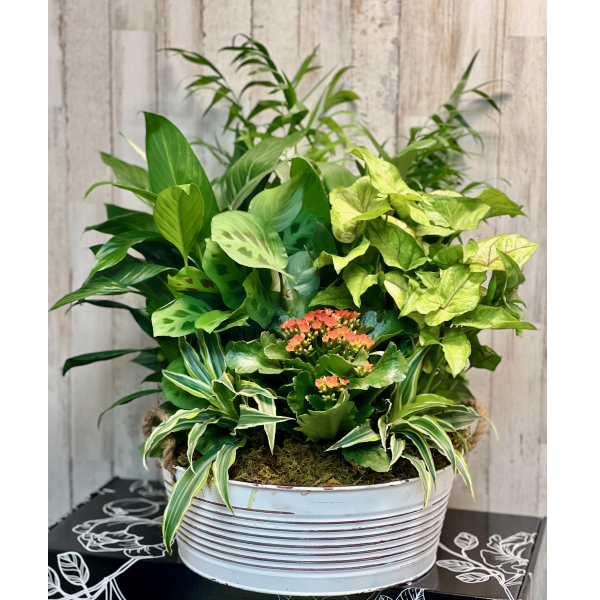 Birthday Flower Delivery Parker CO Mainstreet Flower Market