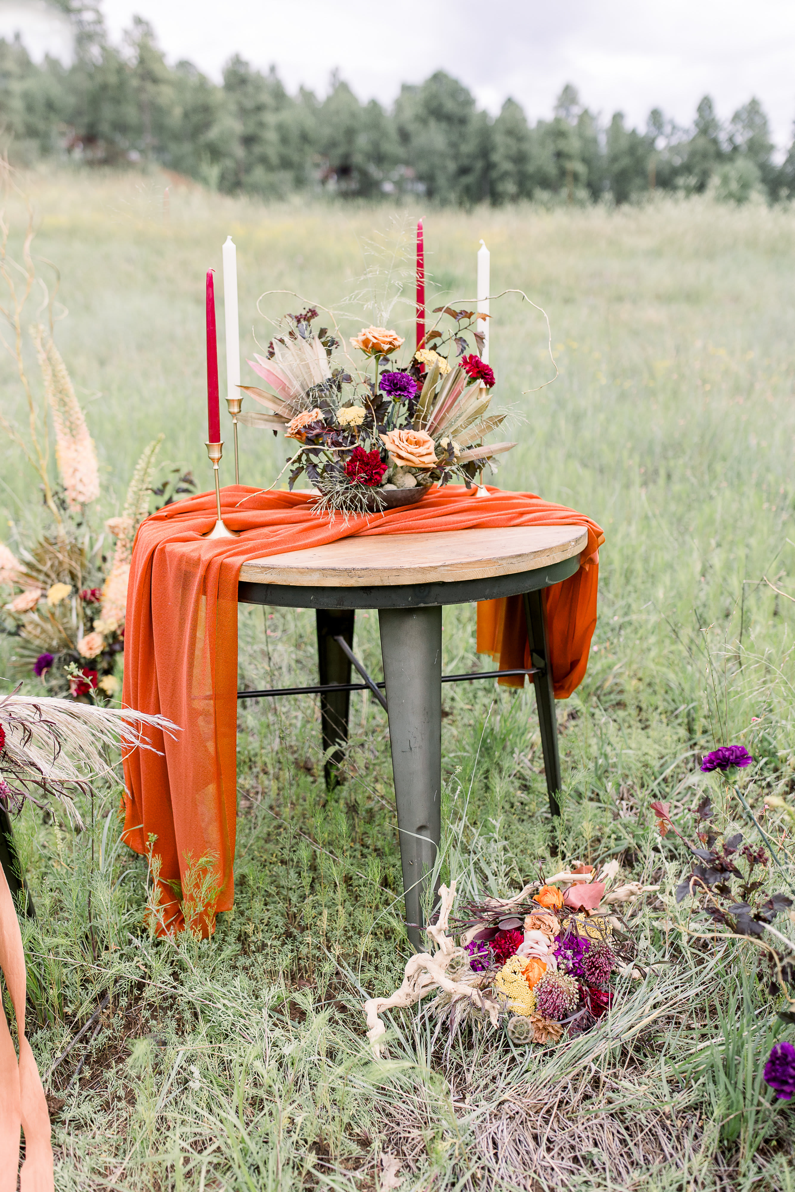 Photographer: Jennifer Marckle