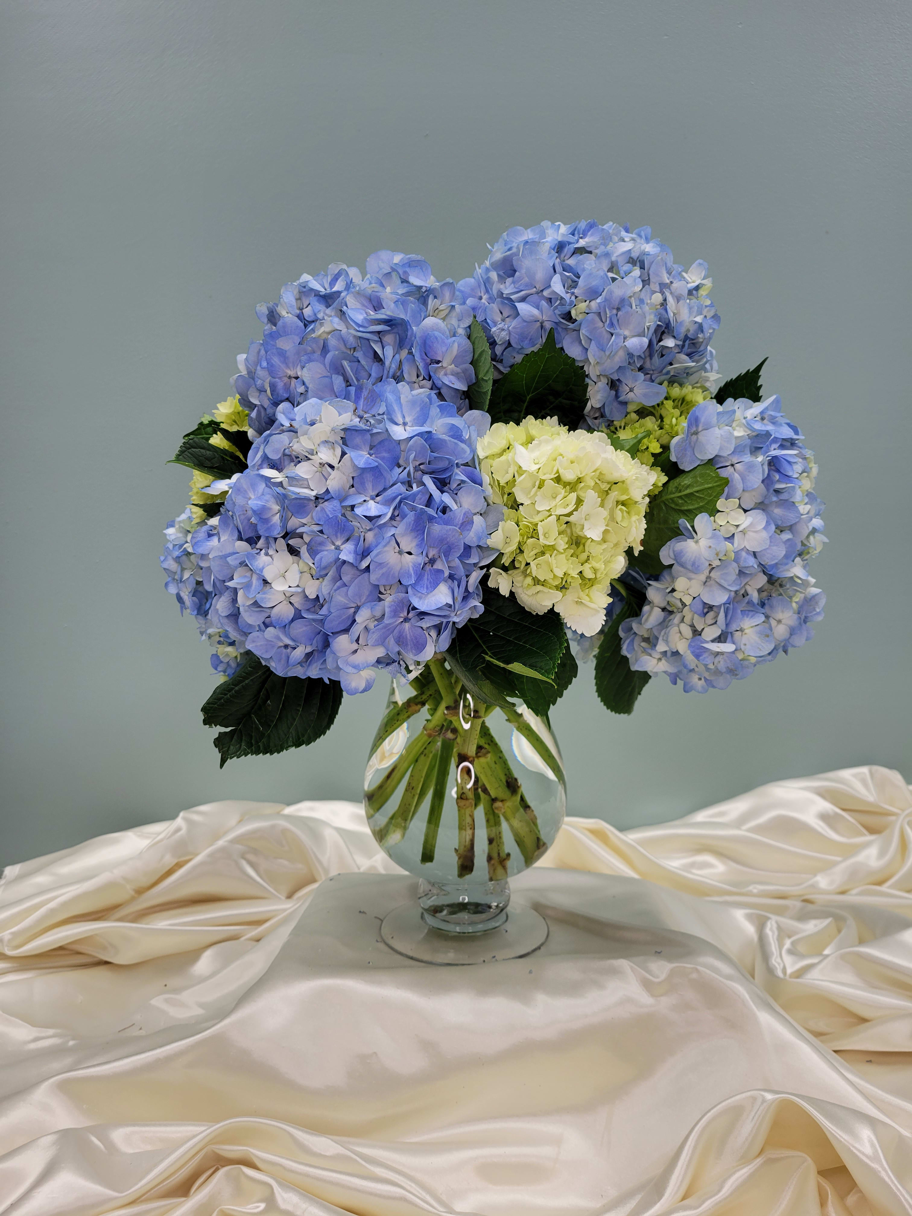 Blue Hydrangeas