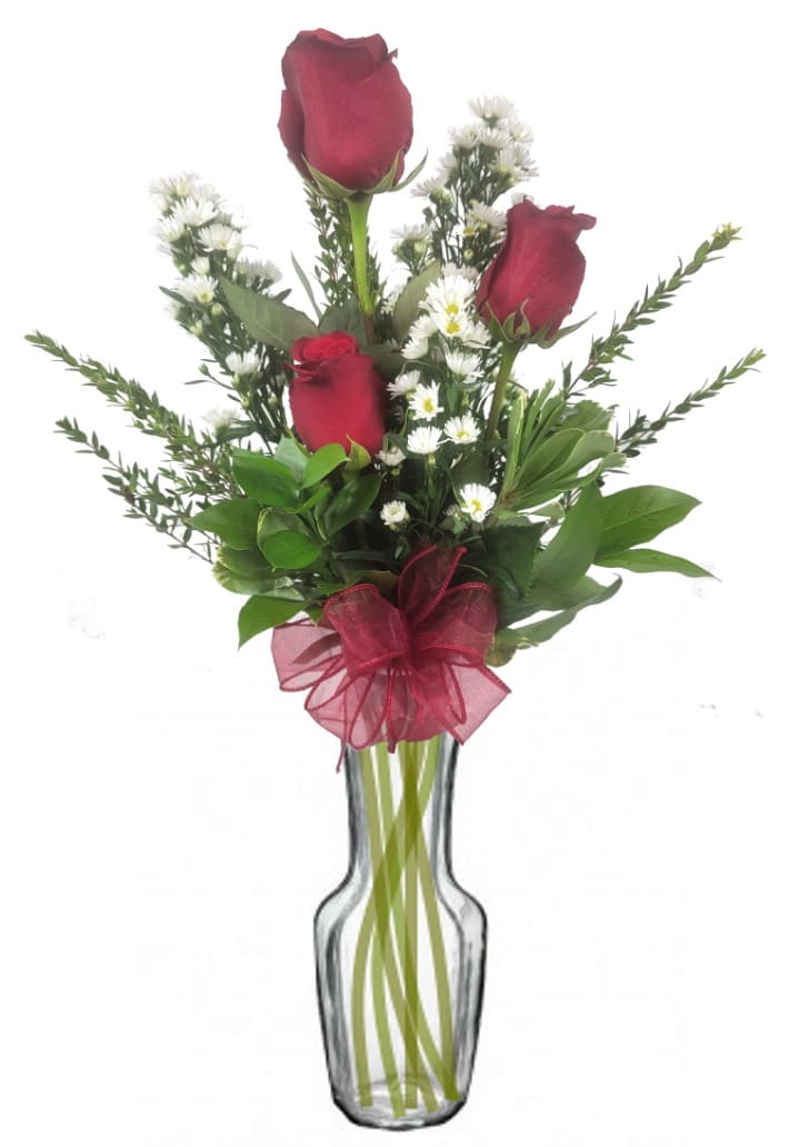 3 Red Rose Bud Vase