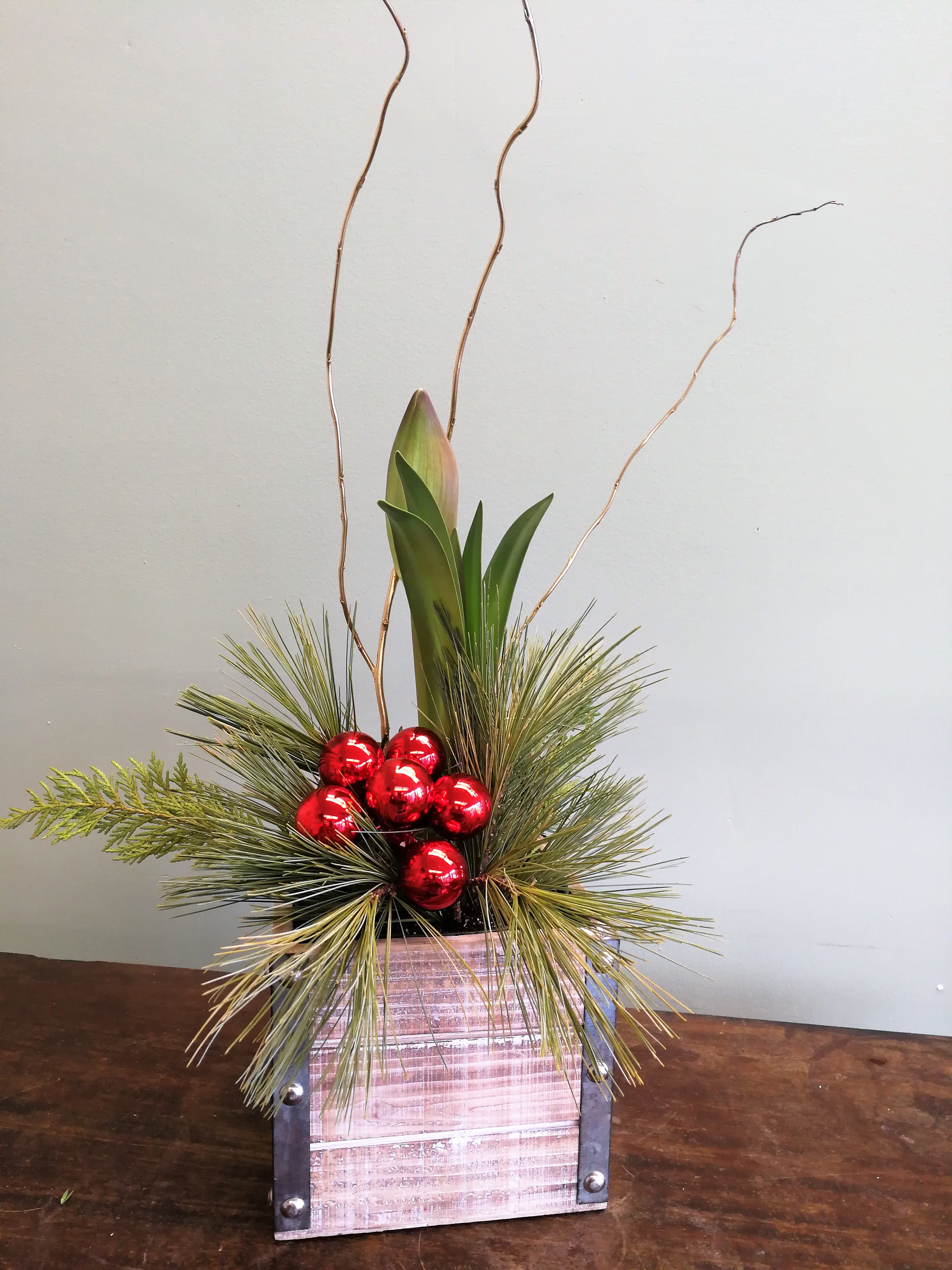 Double Amarylllis in Wooden Box