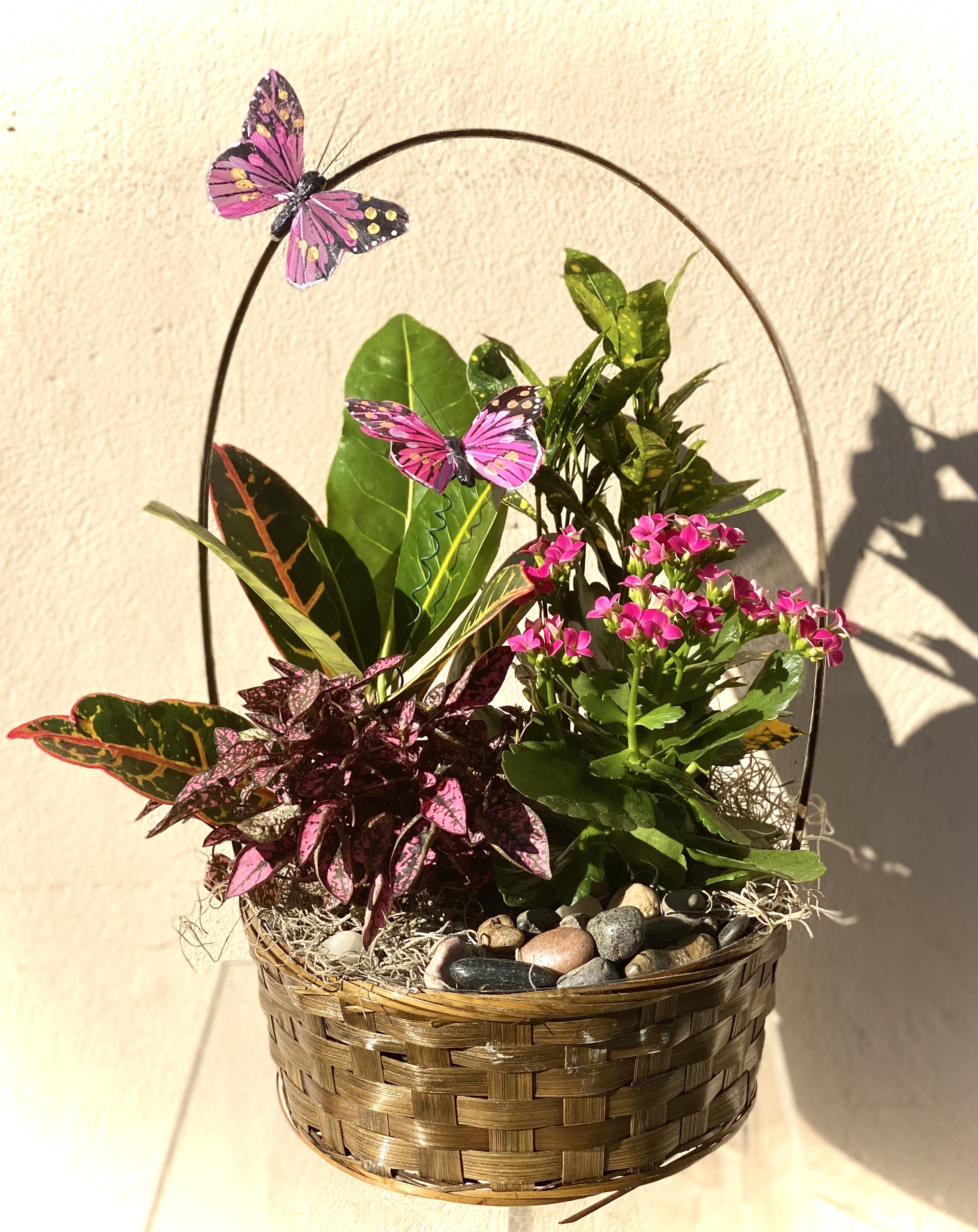 Butterfly Basket Dish Garden Flower Bouquet