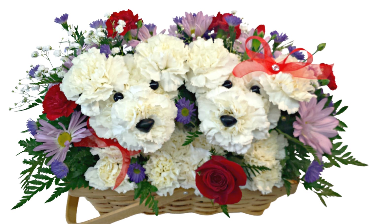Florist Tempe AZ Fiesta Flowers, Plants & Gifts Tempe AZ