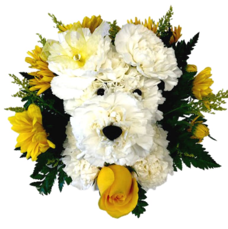 Yellow Sunshine Paws P-9012