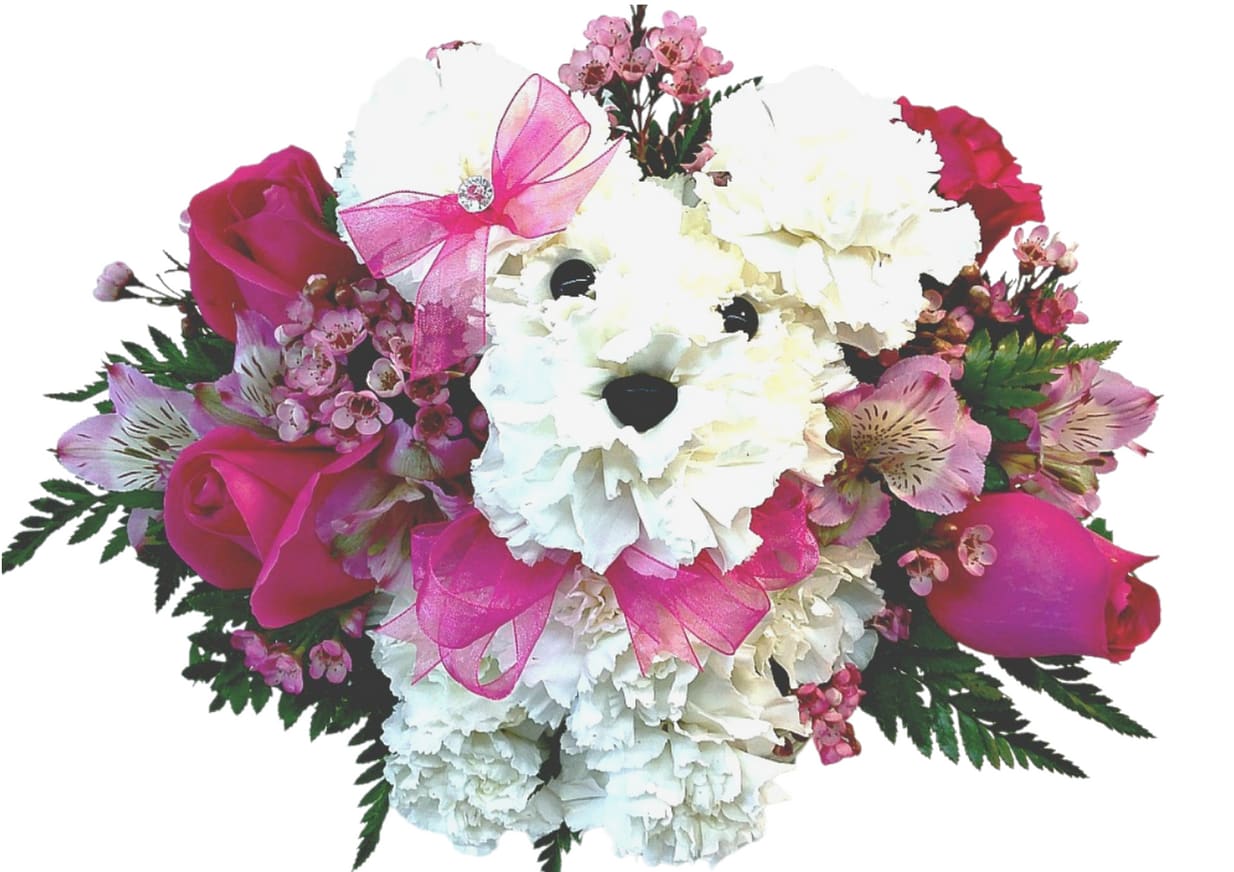 Princess Pooch with Roses P-9010