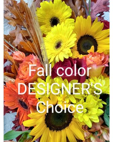 Fall Designer's Choice