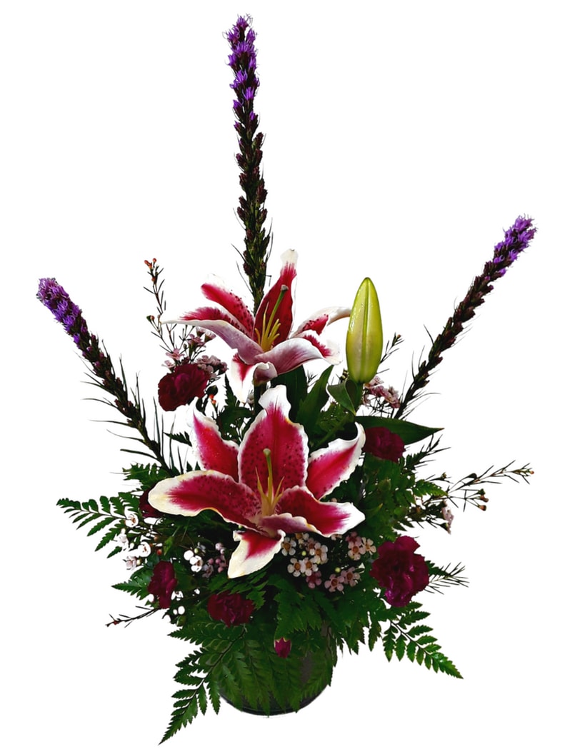 Stargazer Garden IF-874