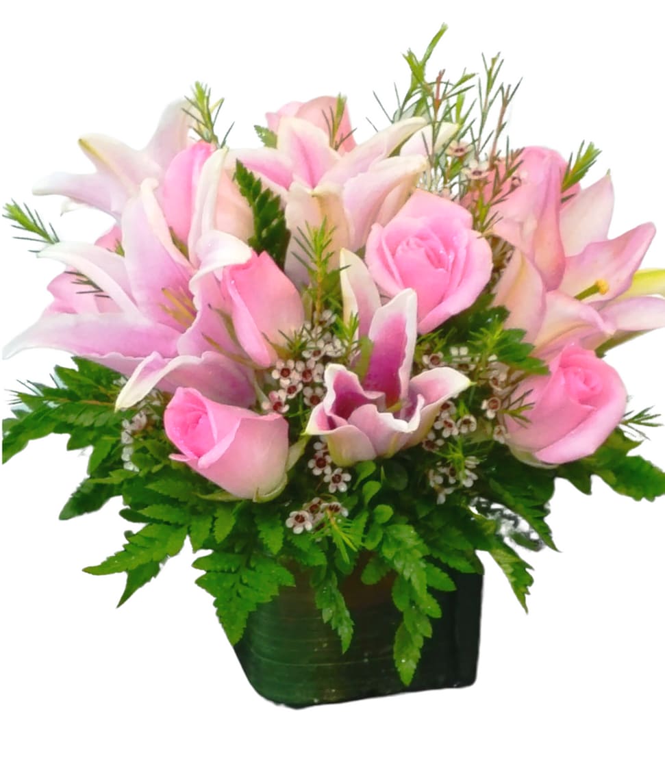 Pink Passion Cube U-3011